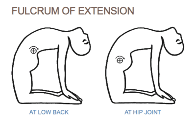 Why Use Glute Max in Back Bends? Part 1