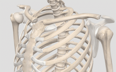 Mobilising The Upper Thoracic Spine
