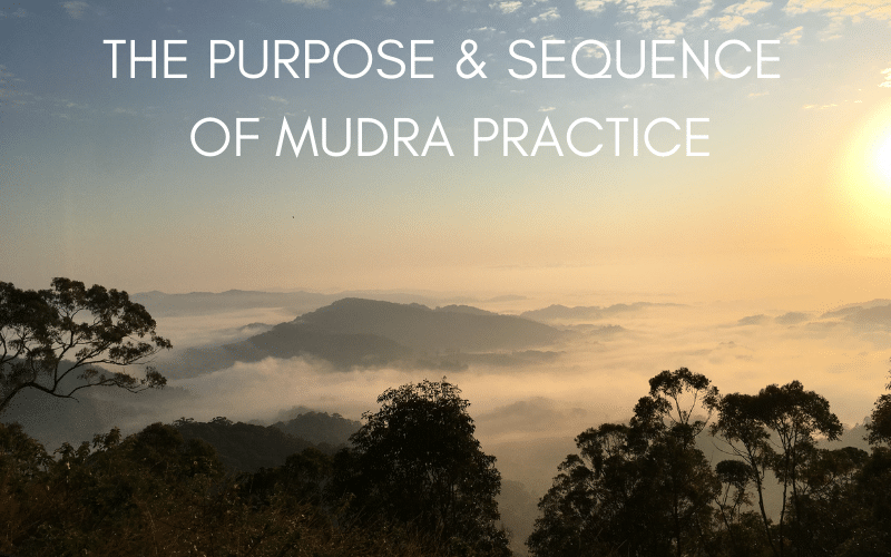 THE PURPOSE & SEQUENCE OF MUDRA PRACTICE